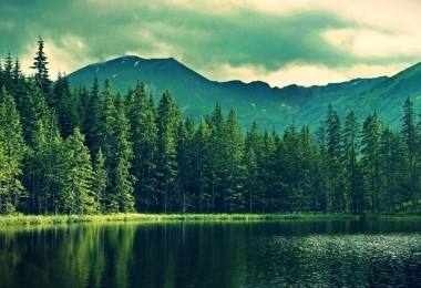 华时捷环保入选《国家鼓励发展的重大环保技术装备目录》技术装备支撑单位